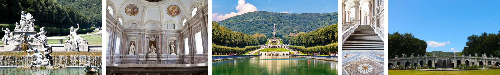 Ordine dei Dottori Commercialisti e degli Esperti Contabili di Caserta